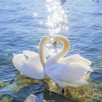 凯发游戏手机app下载截图