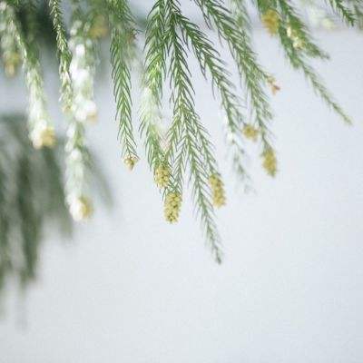 大发彩票官方官方平台app下载手机版