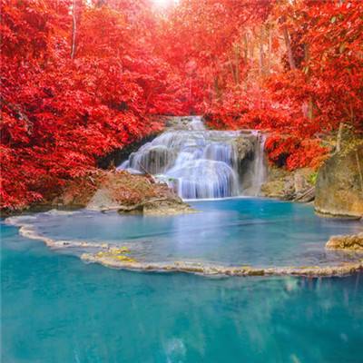 万博·体育-登录入口截图