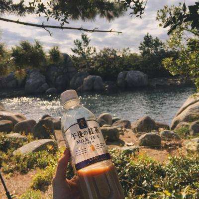 凯发游戏手机app下载截图