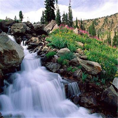 关于“开云电竞APP”下载手机版截图